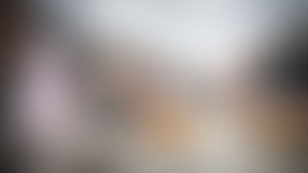 Agenda de la semaine du 16 décembre