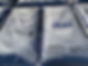 IMG_3691.jpeg