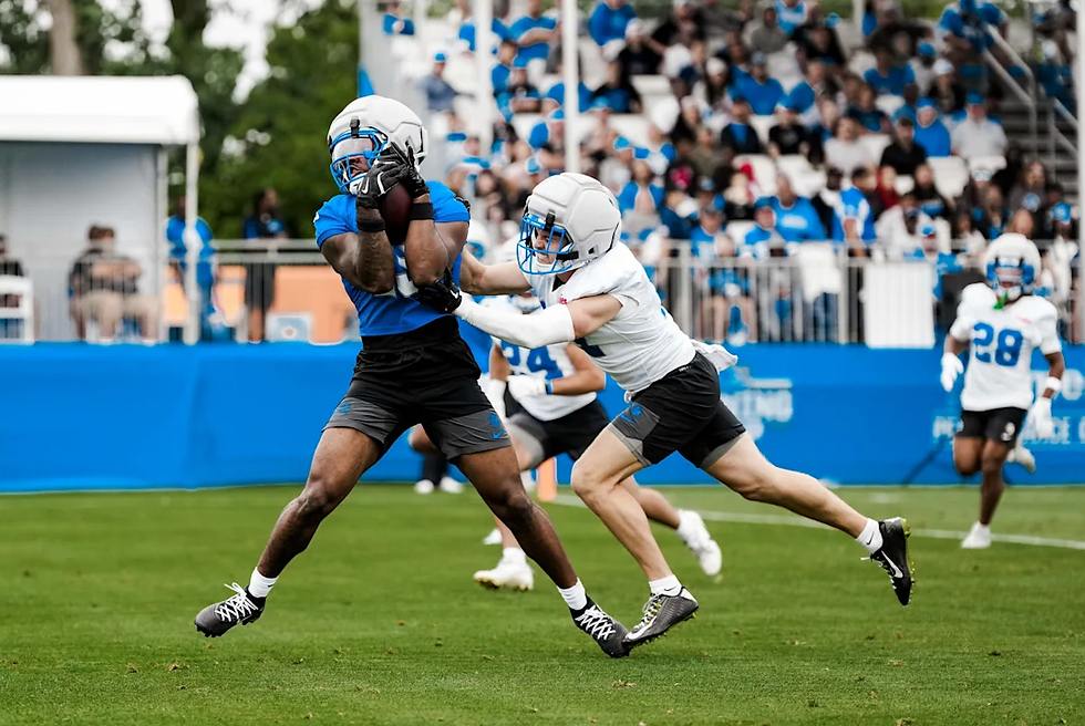 Lions TE Jackson Meeks and S Dan Jackson - Jeff Nguyen/Detroit Lions