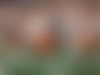 Detroit Lions Select Clemson OT Blake Miller in Round 1 of NFL Draft