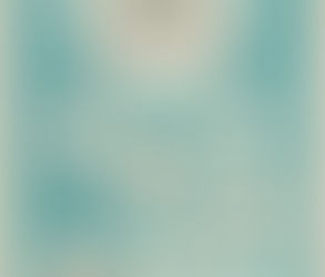 Envision. Execute. ENFORCE.