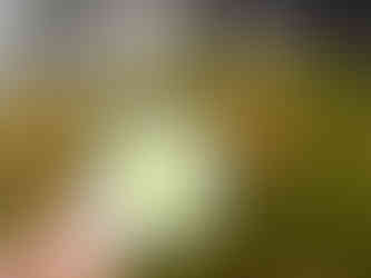 hello summer sticker