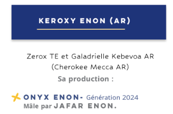 Capture d’écran 2025-03-28 à 18.22.22.png