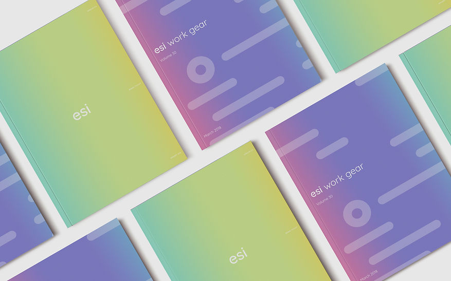 esi-graphics-15.jpeg