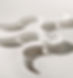 Wilsonart Engineered Surfaces.jpg