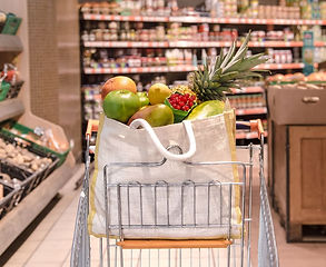 eco-bag-with-different-fruits-vegetables-shopping-cart (1)_1200x806.jpg