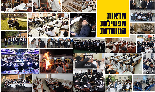 פעילות_1200x717.jpg