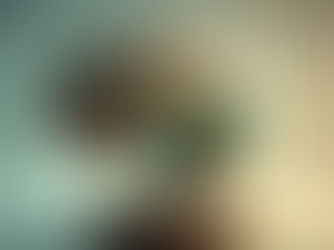 מחזור קיץ 23 - לימודי C.B.T