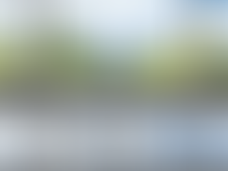 A glass of filtered drinking water on a kitchen bench with tropical Cairns scenery in the background.