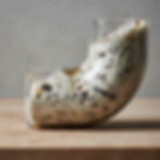 Dishwasher not draining? Water backing up in your sink? This is a plumbing issue. Oakland Plumbing unclogs blocked dishwasher drains fast. Call us today.