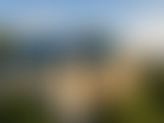 A licensed plumber performing a preventative maintenance check on a tropical Cairns home before the wet season.