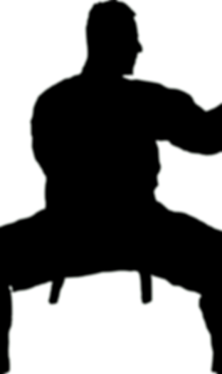 406-4064064_mixed-martial-arts-clipart-sport-shadow-mixed-martial-arts-clipart-sport-shado