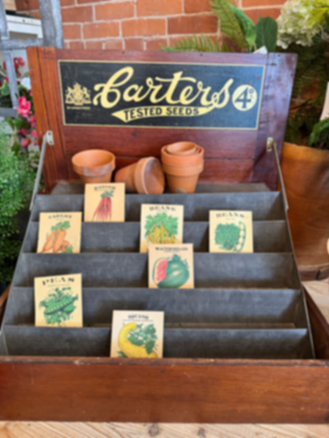 Antique Carter's Tested Seeds Counter Display