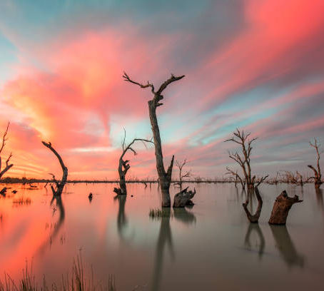 Magestic Menindee Lakes