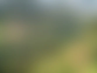 10 Surprising Business Sectors in Austria Feeling the Heat from Climate Change