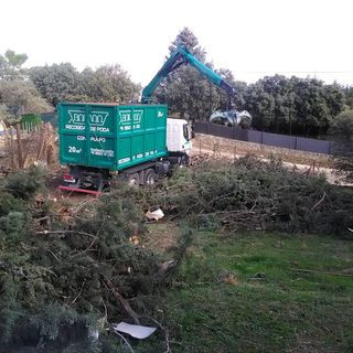empresa de poda
