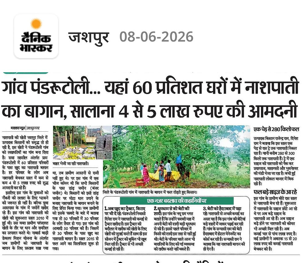 Pear Farming Success in Jashpur: Farmers Earning ₹5 Lakh Annually in Pandrutoli Village