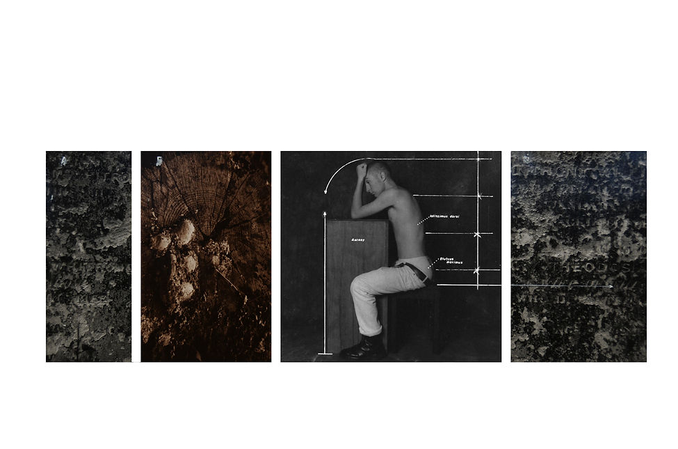 DSC_2589 low res.jpg