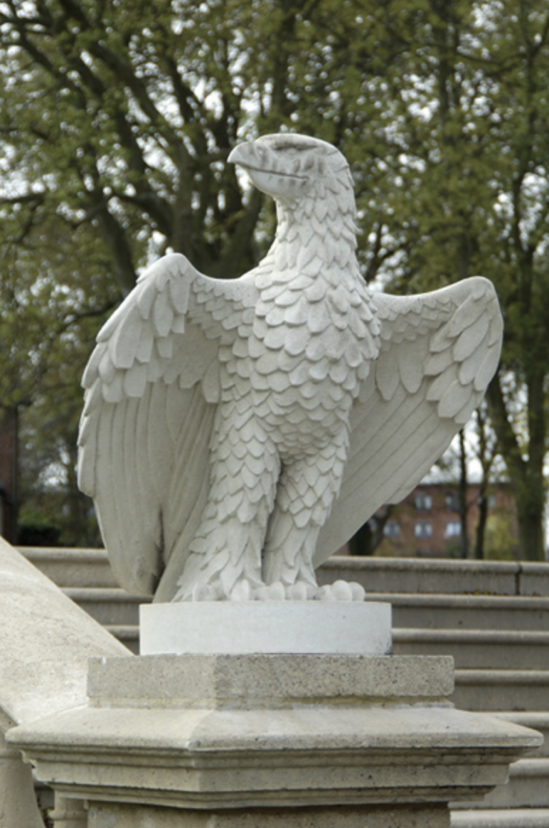 Aquila