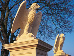 Eagle - Kotka