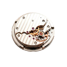 Movement 301_edited_edited.png