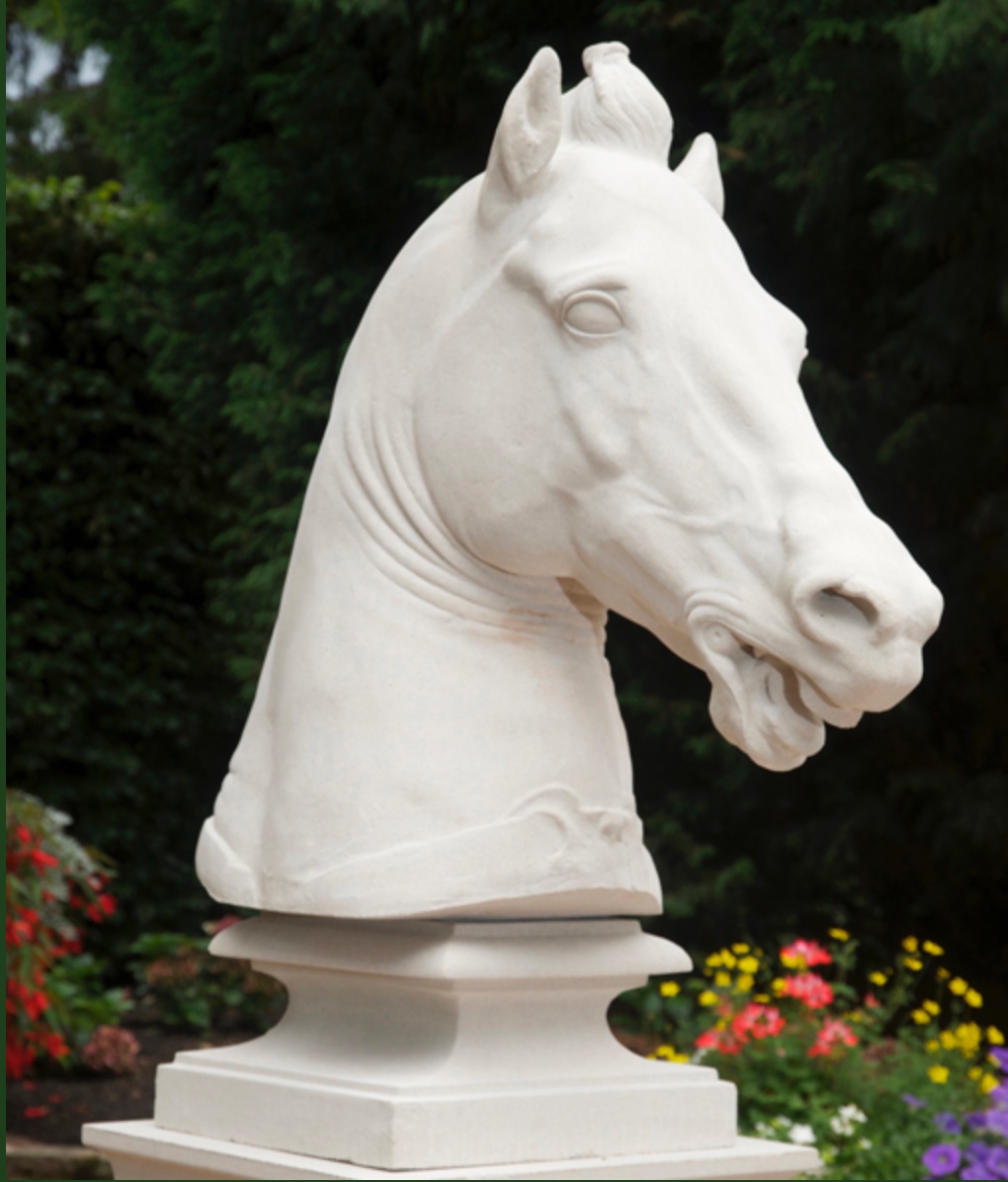 Equine Head - Hevosen pää