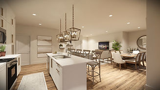 Luxe Condos_Traditional 1.jpg