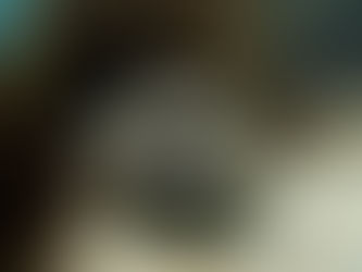 September and October 2025- Shellharbour and Sydney