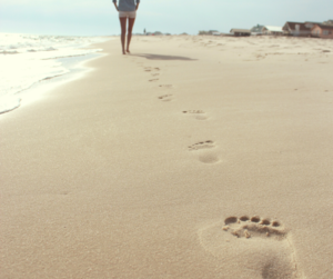 Discover Your Travel Profile