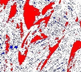 Image microstructure.jpg