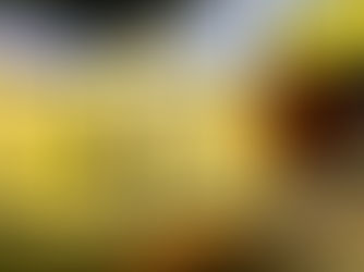 Eintauchen in das Werk von Van Gogh