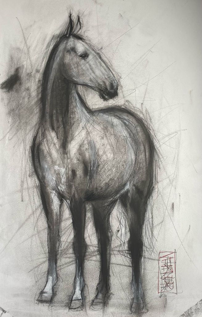 Horse Study #1