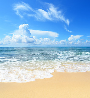 SEASHORE FRAGRANCE.jpeg