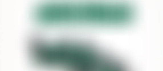 Newsletter | January 2026