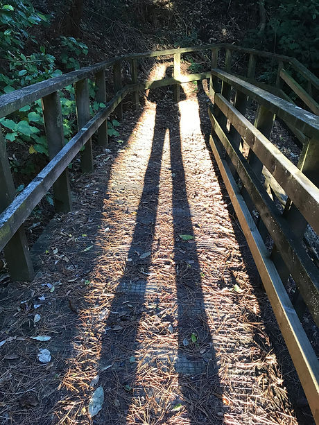 Journey