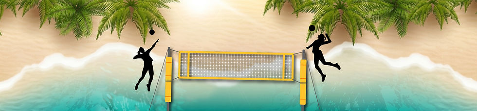 Banner Volleyball.jpg