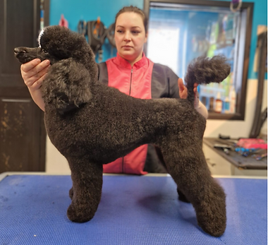 Untitled design (14).png