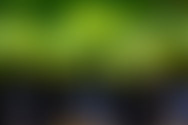 Earth Day 2020 - 50th Anniversary