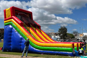 GIANT DUAL LANE SLIDE -ANY THEME
