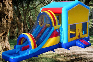 JUMPING CASTLE ENCLOSED DUAL SLIDE - ANY THEME