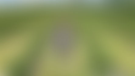 10-Year-Old Farmers Shaping Future of Ag | Food Manufacturers Diversify Ingredient Sourcing | Ethanol Production at Record Levels