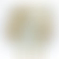           Types of Gear - EETSE033