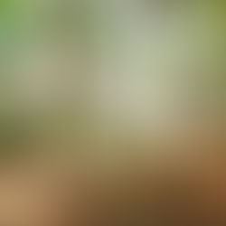          Push Up & Pull Bars - EEFE011