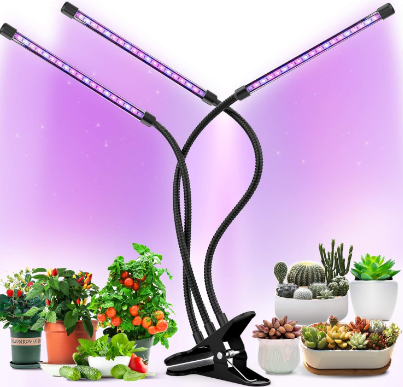 Soil and Light Thermometer