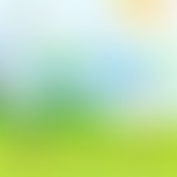 築月|【零碳天地合辦聯校敲擊樂馬拉松,環保與音樂的完美交融】