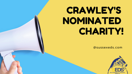 Crawley's Nominated Charity for EDS, HSD and Symtomatic Hypermobility!