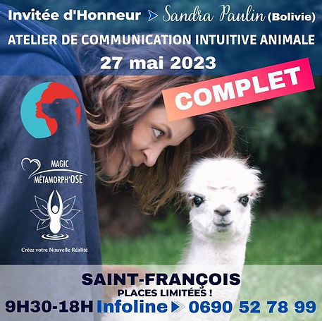 atelier1-communication-animale-guadeloupe2023.jpg
