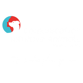 Logo-communication-animale-sandra-paulin