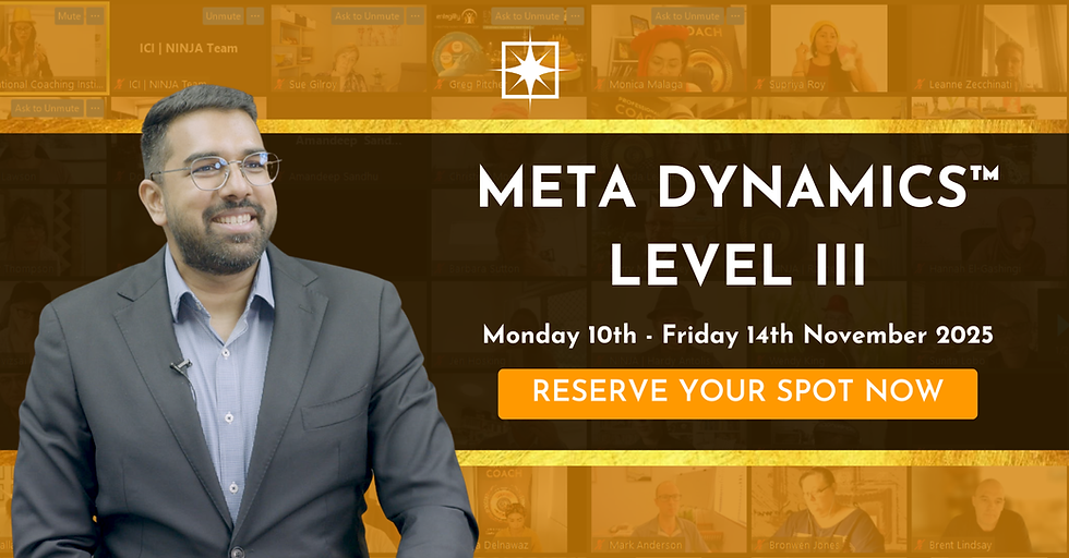 Meta Dynamics™ Level III Facilitator Training