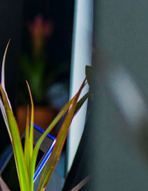 pexels-jopwell-2422293.jpg